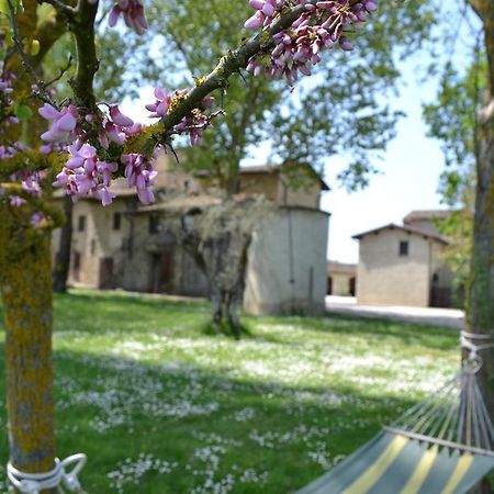 Agriturismo Nestore المظهر الخارجي الصورة