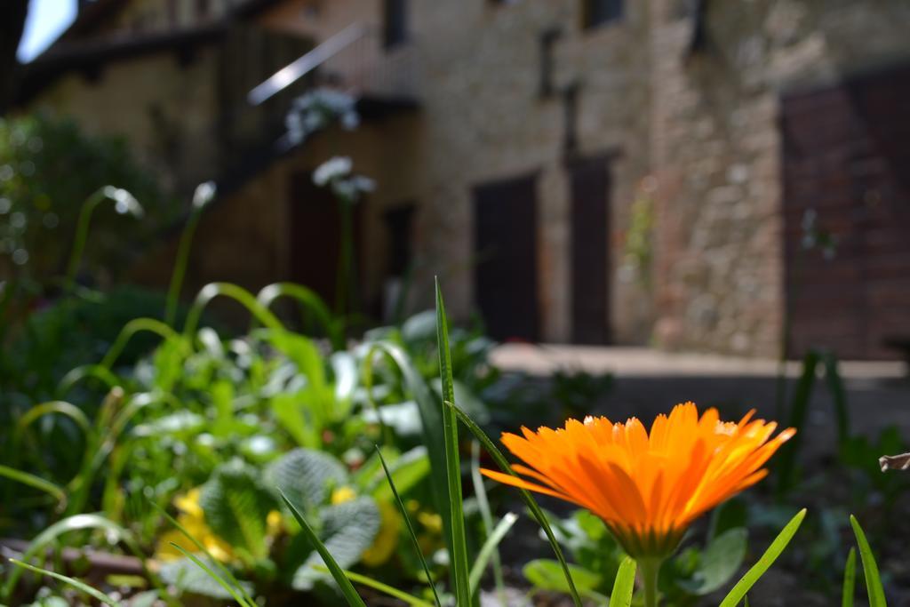 Agriturismo Nestore المظهر الخارجي الصورة