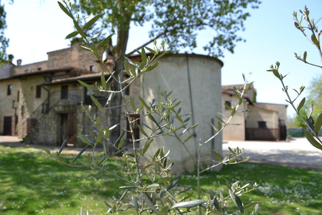 Agriturismo Nestore المظهر الخارجي الصورة