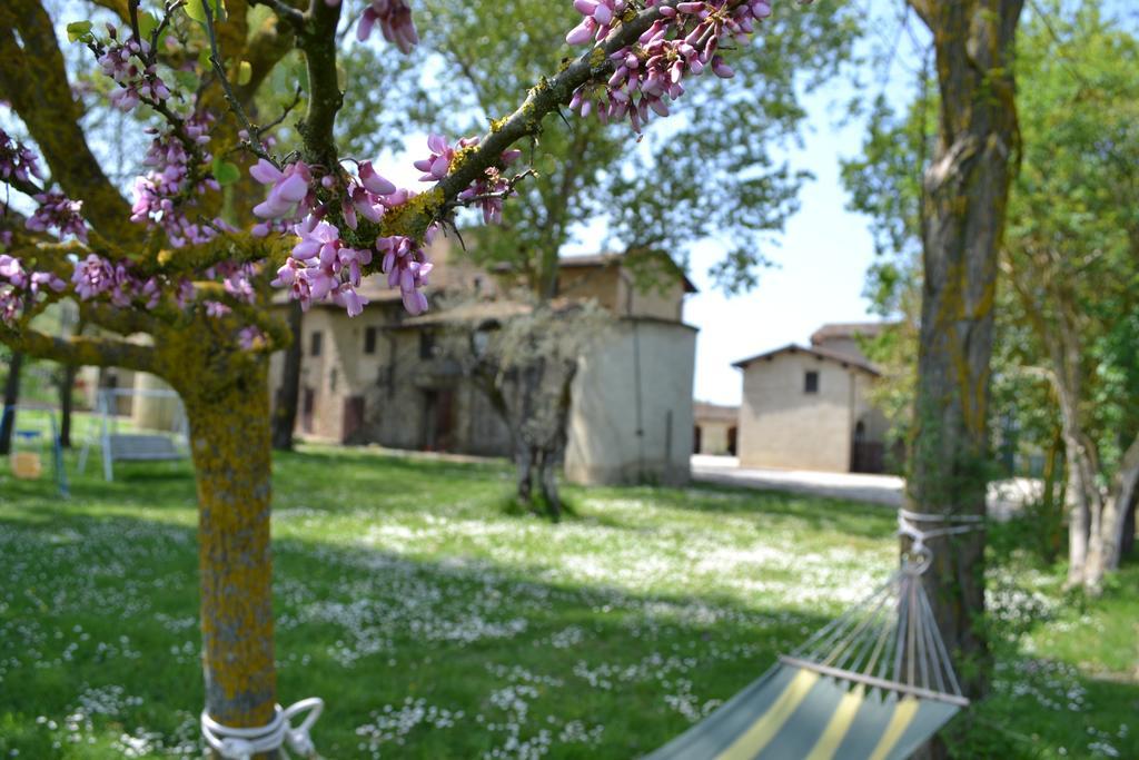 Agriturismo Nestore المظهر الخارجي الصورة